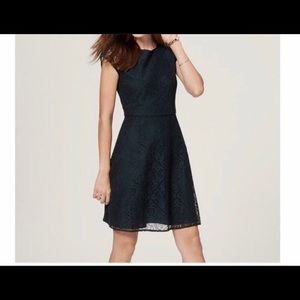 Loft Tall Lace Dress, size 4 Tall